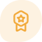 icon (2)